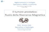 Il tumore prostatico: Ruolo della Risonanza Magnetica · Analisi delle lesioni: Il carcinoma prostatico. Il tumore Prostatico Ruolo della Risonanza Magnetica Stadiazione Diagnosi