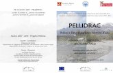 18 novembre 2011 - PELLIDRAC: punto di arrivo e punto di ... · Obiettivo di Cooperazione territoriale europea Italia-Francia (Alpi Latine) 2007-2013 Objectif de coopération territoriale