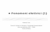 fenomeni elettrici 1 - personalpages.to.infn.itpersonalpages.to.infn.it/~masera/CTF/fenomeni_elettrici_1.pdf · Calcolare la forza elettrostatica totale che le cariche Q 1 e Q 2 esercitano