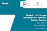 Modello di sviluppo industriale del Sistema Italia in Brasilesedi2.esteri.it/sitiweb/AmbBrasilia/E-Book_EXECUTIVE 3_Summary.pdf · Paese di raggiungere l'autosufficienza energetica.