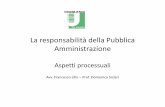 La responsabilità della Pubblica Amministrazionescuolaprofessionilegali.uniroma2.it/files/2015/02/Lezione-processo... · La responsabilità della Pubblica Amministrazione Aspetti