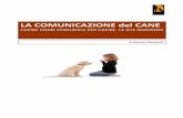 LA COMUNICAZIONE del CANE - ilmiocane.net · Il disagio può portare il Cane a evitare, allontanarsi, cercare la fuga, ma anche a aggredire per difesa, irritazione e stress. Per questo