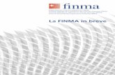 La FINMA in breve¼rze.pdf · della strategia e porta all’attenzione del consiglio di amministra-zione gli obiettivi strategici della FINMA. Consiglio di amministrazione Direttore