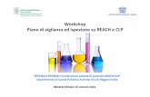 Workshop Piano di vigilanza ed ispezione su REACH e CLP · prevenzione 2014-2018 piano nazionale attivita’ controllo sostanze chimiche 2016 piano regionale della prevenzione 2014-2018