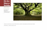 Dr.for. Marco Baldin - Ordine degli Agronomi e Forestali ... 20-70 cm) e difficilmente gli alberi