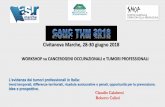 Civitanova Marche, 28-30 giugno 2018 - snop.it Calabresi Calisti... · 2.1 Tumori maligni dei seni paranasali ... Tumori cutanei: ... occupa di rischi e danni da lavoro sono rari