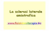 La sclerosi laterale amiotrofica - Fisiokinesiterapiafisiokinesiterapia-news.it/NewDownload/sla2.pdf · PDF file• virus o altri agenti patogeni. SLA cause - 1 •Sconosciuta: 5%