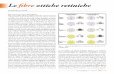Le fibre ottiche retiniche - amedeolucente.it Fibre Ottiche Retinche.pdf · arrivate nuove tecnologie come la Polarimetria a Scansione ... esperienza clinica, brevemente diremo dei