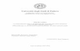 Università degli Studi di Padova - Padua@Thesistesi.cab.unipd.it/55885/1/TONEGUZZO_Ilaria.pdf · 2.1 Il dolore cronico ... terapeutica all’interno di un trattamento multidisciplinare