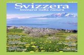 ITINERARI NEL VERDE Svizzera · Lago di Thun Lago di Brienz ... un parco catalogo di alberi e sculture, la collezione ... Nel 2015 hanno ricevuto il Premio Schulthess,