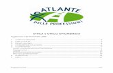 OTTICO OPTOMETRISTA Atlante - Home page - Atlante delle ... · Il mercato dei centri di ottica e delle strutture di salute visuale, anche pubbliche, è in espansione per la maggiore