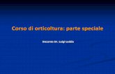 Docente Dr. Luigi Ledda - iaassassari.files.wordpress.com · Dipartimento di Scienze Agronomiche e Genetica Vegetale Agraria, Università di Sassari Patata (Solanum tuberosum L.)