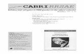 CABRIRRSAE - web.unife.itweb.unife.it/progetti/fardiconto/cabrirrsae/bollettini/doc/boll_22.pdf · re che si possono tracciare, le proprietà delle figure dello spazio. ... Analoghi