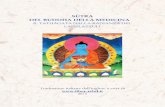 Sutra buddha della medicina - spadaegaruda.files.wordpress.com · un’aura di luce più splendido del sole o della luna. La luce ... regole che conducono alla perfezione in conformità
