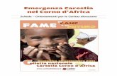 EMERGENZA SICCITÀ NEL CORNO D’AFRICA - Caritas Italiana · sviluppo agricolo nei ... dei bimbi somali arrivati in Etiopia e Kenya è aumentato al 47%, il doppio rispetto a ...