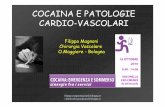 COCAINA E PATOLOGIE CARDIO-VASCOLARI - cesda.net · aritmie dovute a depolarizzazione ventricolare prematura, asistolie e tachiaritmia ventricolare degenerante in fibrillazione per