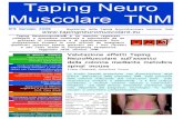 Taping Neuro Muscolare TNM - fisioterapia-alcobendas.com 1_2009.pdf · Appare chiaro come la postura più corretta rispetto ai valori di riferimento, si ottenga utilizzando la tecnica
