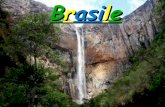 Brasile - win.icscurti.gov.itwin.icscurti.gov.it/siti_scuole/secondaria_cocquio/Lavori prof... · temperata, tropicale di altitudine. L'Amazzonia, che costituisce il maggior bacino