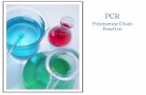 Polymerase Chain Reaction - omero.farm.unipi. PCR o Tecnica della reazione a catena della DNA polimerasi