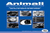 AOE - opuscolo animali CMYK - agireoraedizioni.org · ... o trova insopportabile qualche particolare forma di abuso ai ... di contenzione, ... di “alternative”, ma di utilizzo