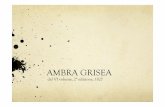 AMBRA GRISEA - omeoweb.comomeoweb.com/documenti/biblioteca/AMBRA_GRISEA.pdf · Senso di pienezza nell’ipocondrio destro, che si diffonde nella intera circonferenza del ventre e