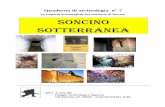 Le scoperte archeologiche nel territorio di Soncino ...gruppoaquaria.altervista.org/alterpages/files/7Quadernon7-soncinos... · N°6 – 1980-1987 – S. PIETRINO-GENIVOLTA-VIA MATTEOTTI-STRADA