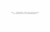 07 – Addetto alla produzione di cellulosa e pastalegno ·  La Videoscrittura: ...  Cos’è la comunicazione, quali sono le sue funzioni, i modi in cui si ...
