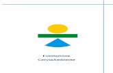 I 40 anni di Fondazione CerviaAmbiente 40 anni di... · “Centro di Educazione alla Sostenibilità” di Eccell enza POLOADRIATICO cosi come previsto dal Bando per l’accreditamento