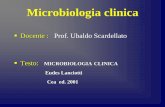 Docente : Prof. Ubaldo Scardellato Testo: MICROBIOLOGIA ...infmestre1anno.altervista.org/index_file/microbiologia 2010/1... · sostanze utili all’uomo (sieri e vaccini, ... Classificazione