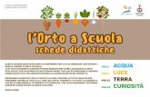 COMUNE di PADOVA SETTORE AMBIENTE e TERRITORIO …orto a scuola... · L’acqua per le piante è un elemento indispensabile in quanto ne regola la ... superficie del vegetale. ...