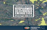 Nuovo piano energetico del Lazio RISPARMIO ED EFFICIENZA ...enerweb.casaccia.enea.it/enearegioni/UserFiles/Lazio/DSR_nuovo... · D. Il Piano di Azione per l'Efficienza Energetica
