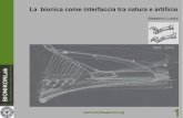 Massimo Lumini 1998 / 2013 - bionikasproni.org · Questa dispensa scritta nel 1996, ... meccanica e delle strutture ... dinamica, mettendo in gioco il minor