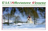 N. 13 - Dicembre 2013 - Home Page - A.R.A.V.arav.it/Data/Rivista/pdf/allevatore_veneto_13_13.pdf · N. 13 - Dicembre 2013. Richiedi un ... Il Nuovo Ponte Coop. Soc. A.R.L. Via Della