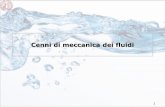 Cenni di meccanica dei fluidi - home page | Dipartimento ... · Descrizione molecolare e metodi del continuo – La descrizione dei fluidi secondo un approccio macroscopico si basa