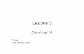 S.Capri Lezione 3 - My LIUCmy.liuc.it/MatSup/2010/A83221/.Capri Lezione 3.pdf · Scala minima efficiente e concentrazione • Curva dei costi medi a U • Un’impresa che opera sul