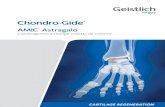 Astragalo - geistlich.com.br · sovrapponga al bordo del tessuto cartilagineo adiacente. Osteosintesi Dopo il trattamento della lesione osteocondrale, riposizionare con