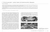 I “Ponti pensili” nella Valle di Kathmandu (Nepal)eprints.bice.rm.cnr.it/1132/1/n.7-2009valerio_sestini.pdf · notato una certa diffusione di ponti a catene negli Stati Uniti,