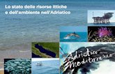 Lo stato delle risorse ittiche e dell'ambiente nell'Adriatico · Lo stato delle risorse ittiche ... nel 2010 vi sono state pescate, solo da navi italiane, ... Tirreno 44.600 Canale