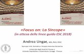 «Focus on: La Sincope» - Home Page - Sito AcEMC 2017/Ungar.pdf · recommended by 2009 ESC guidelines Ungar a et al, Europace 2015. ... July 2002 to June 2011 989 patients ... pazienti