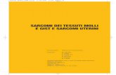 SARCOMI DEI TESSUTI MOLLI E GIST E SARCOMI UTERINIlnx.mednemo.it/wp-content/uploads/2010/03/aiom954.pdf · 12.1 Epidemiologia – Classificazione 00 ... in capitoli a parte dei Tumori