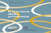 Il tumore della prostata - Istituto Nazionale dei Tumori · Progetti di ricerca scientifica e clinica per il tumore della prostata ... Cellule tumorali nella prostata sono presenti