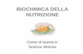 BIOCHIMICA DELLA NUTRIZIONE - Scienze Motorie Unimi · nel mondo animale il MBè correlato con la taglia dell’animale stesso, ... • Processi biochimici della nutrizione Valutazione