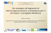 Un esempppio di impianto di microcogenerazione a biomassa ... · Agroforestale (DIPSA) - Università di Firenze 1. Presupposti ... Analisi della accessibilità forestale in funzione