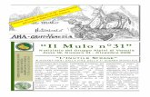 “Il Mulo n°31” - alpinivenezia.it Mulo 31.pdf · ambedue gli schieramenti ... Austria-Ungheria, firmato a Villa Giusti (Padova) ... seconda (ed insana) guerra perdemmo quanto