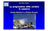 Progressione Conserva (new) - Scuola Alpinismo e Sci ... Motivi per la progressione in conserva: