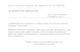 LE BONIFICHE IDRAULICHE - freedom.dicea.unifi.itfreedom.dicea.unifi.it/Claroline-1.3.1/0060838/document/drenaggio/... · LE BONIFICHE IDRAULICHE Corso di Costruzioni Idrauliche, CdL