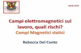 Campi elettromagnetici sul lavoro, quali rischi? - unifi.it · Campi Elettromagnetici: Campi magnetici statici, campi elettrici, magnetici ed elettromagnetici variabili nel tempo