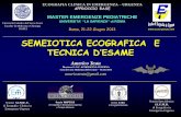 SEMEIOTICA ECOGRAFICA E TECNICA D’ESAME · di Ecografia Clinica in Emergenza-Urgenza Scuola Specialistica ... •SEMEIOTICA ECOGRAFICA. IMMAGINI ELEMENTARI Aspetti Qualitativi LINEA