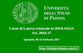 Corso di Laurea triennale in BIOLOGIA AA. 2016-17 · Internato di laurea di 9 mesi per tesi: • Ricerche in laboratorio • Ricerche sul campo • All’Università di Padova •