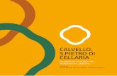 CALVELLO, S.PIETRO DI CELLARIA - eprints.bice.rm.cnr.iteprints.bice.rm.cnr.it/15903/1/11.pdf · CALVELLO, S.PIETRO DI CELLARIA a cura di Nicola Masini, Dimitris Roubis, Francesca